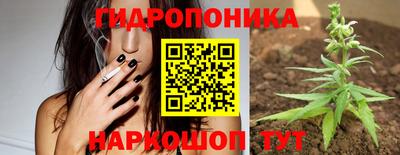 индика Чапаевск