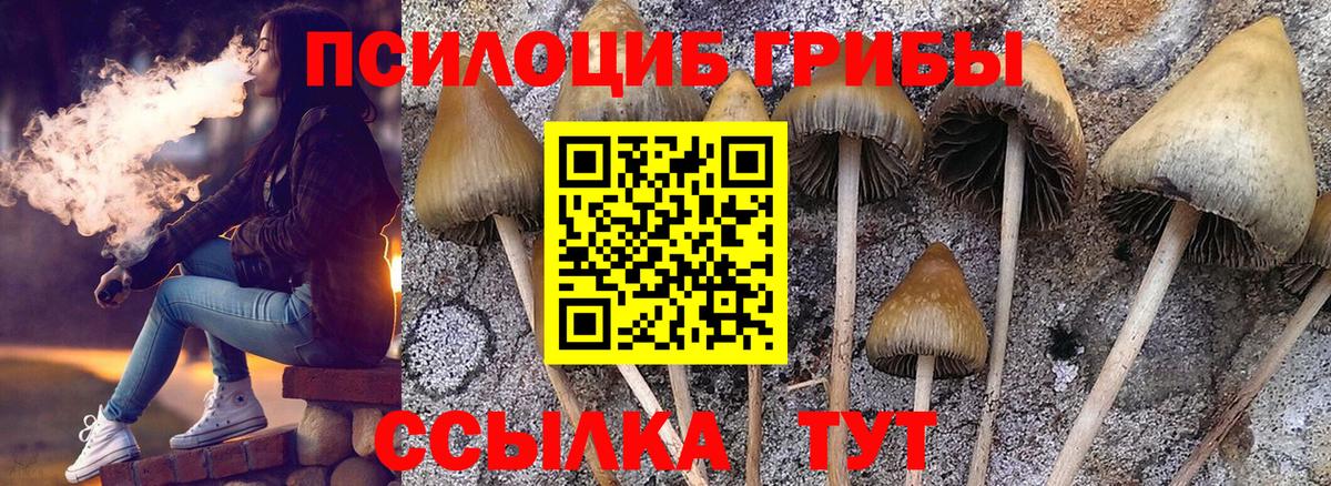 Галлюциногенные грибы мухоморы Большой Камень